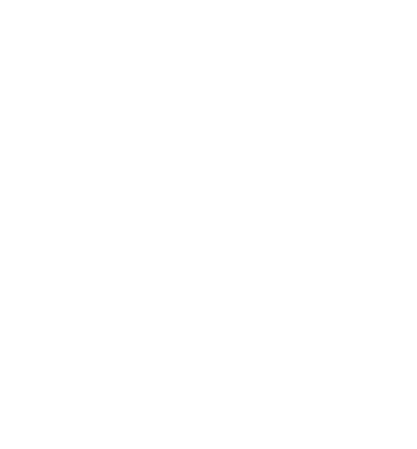 Zoe Transforming Foundation